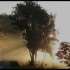 Lever du soleil sur fond de br
