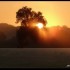 Lever du soleil sur fond de br