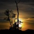 Coucher du soleil  sur les con