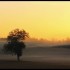 Lever du soleil sous un léger