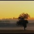 Lever du soleil sous un léger