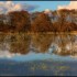 Effet miroir