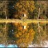Effet miroir