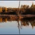 Effet miroir