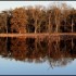 Effet miroir