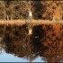 Effet miroir