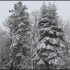 Givre