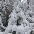 Givre