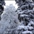 Givre