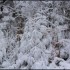 Givre