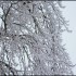 Givre