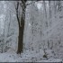 Givre