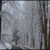 Givre