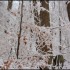 Givre