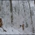 Givre