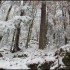 Givre