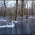 Neige et soleil dans la forêt
