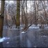 Neige et soleil dans la forêt