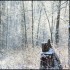 Neige et soleil dans la forêt