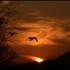 Coucher du soleil