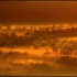 Brume et brouillard sur  la pl
