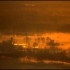 Brume et brouillard sur  la pl
