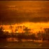 Brume et brouillard sur  la pl