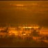 Brume et brouillard sur  la pl