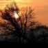 Coucher du soleil