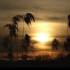Coucher du soleil