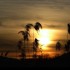 Coucher du soleil