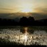 Coucher du soleil