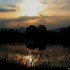 Coucher du soleil