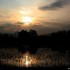 Coucher du soleil