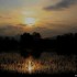 Coucher du soleil