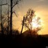 Coucher du soleil