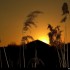 Coucher du soleil