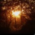 Coucher du soleil