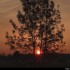 Lever du soleil