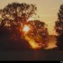 Lever du soleil