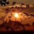 Lever du soleil