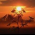Lever du soleil