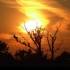 Coucher du soleil