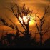 Coucher du soleil