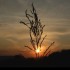 Coucher du soleil