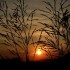 Coucher du soleil