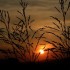 Coucher du soleil