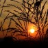 Coucher du soleil