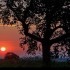 Lever du soleil