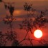 Lever du soleil